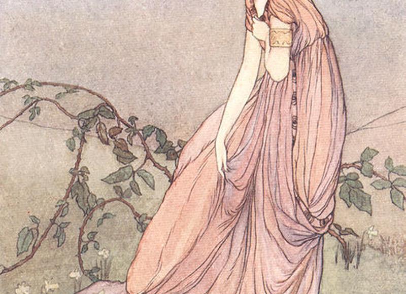 黑马神作《西游（西游小说的神作）