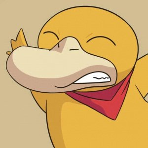 ​壁纸头像更新｜呆萌可达鸭表情包