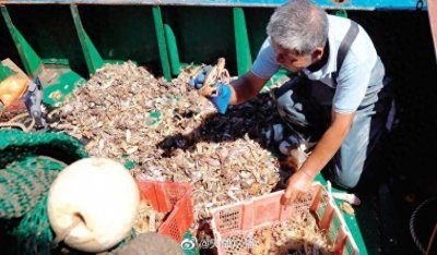 ​天津本地海鲜来啦！嘛价——