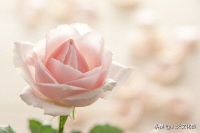 ​宣威民歌·小调：点花名