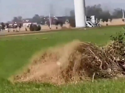 ​老鹰盘旋在巨大风钻上，发出奇怪叫声，下一秒老鹰从高空坠落