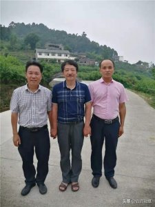 ​千奇百特话七星