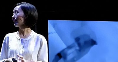 ​柴静的无畏之爱：支持罗永浩度过人生低谷