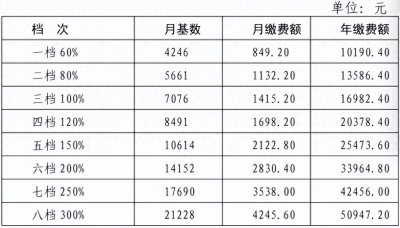 ​四川灵活就业养老保险缴费档次一览表（内江、宜宾、巴中）