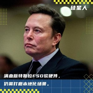 ​特斯拉“FSD”在中国突然发布，用户感受稳定性堪比老司机