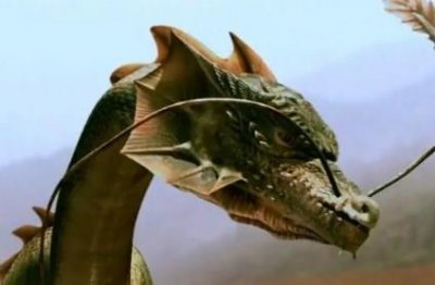 ​十三阿哥胤祥为什么被圈禁十年，远见卓识的康熙认为他包庇太子胤礽