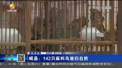 ​岷县：142只麻料鸟放归自然