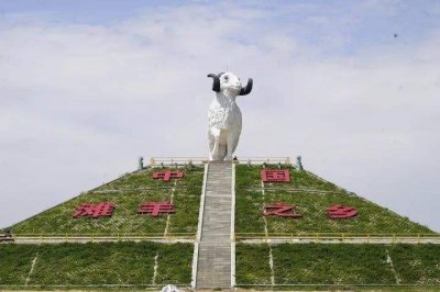 ​从半夜喂养到线上养羊，盐池滩羊都经历了这些…