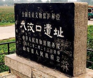 ​什么是大汶口文化？有什么特点？