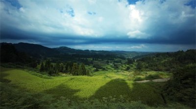 ​马头镇多举措按下乡村振兴“快捷键”