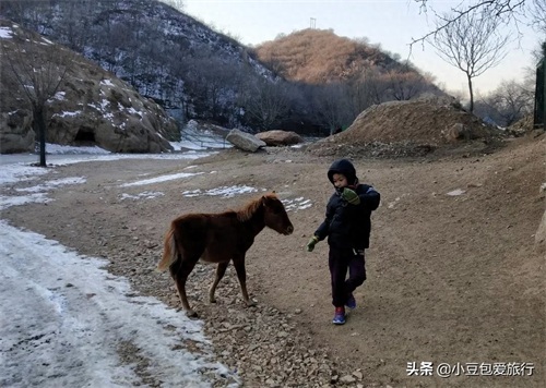 八达岭野生动物园，人与动物可以和谐共处！

