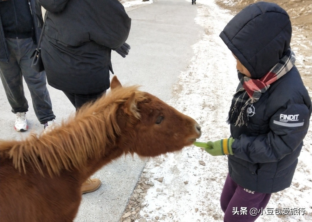 八达岭野生动物园，人与动物可以和谐共处！

