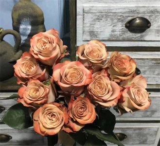 ​鲜切花 | 独特的复古咖啡色“卡布奇诺”玫瑰，高级又浪漫