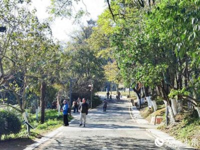 ​初冬时节，花溪公园景美如画