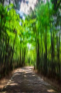 ​“马放南山”——探访马氏宗祠